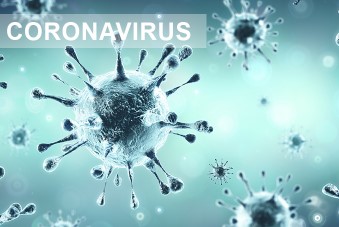 Epidémie de Coronavirus Covid 19 - Rheno mobilisé