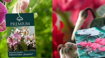 Film PP Extrud en Polypropylne pour Communication Visuelle