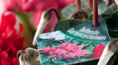 EX P Les Films en Polypropylne Extrud