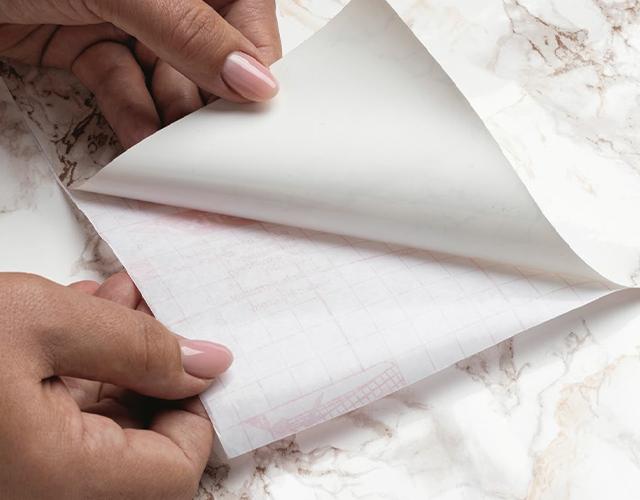 Systme modulaire des dorsaux